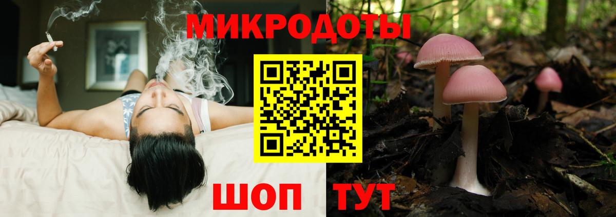 Галлюциногенные грибы Cubensis  Псилоцибиновые грибы GOLDEN TEACHER  Вход с VPN  Сердобск 
